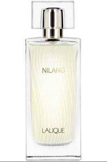 عطر ادکلن لالیک نیلانگ 2011 | Lalique Nilang 2011 100mill