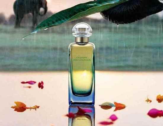 عطر ادکلن هرمس آن جاردین اپرس لا موشن | ادکلن تستر مردانه