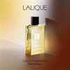 عطر ادکلن لالیک وودی گلد طلایی 100میل| Lalique Woody Gold 2020 