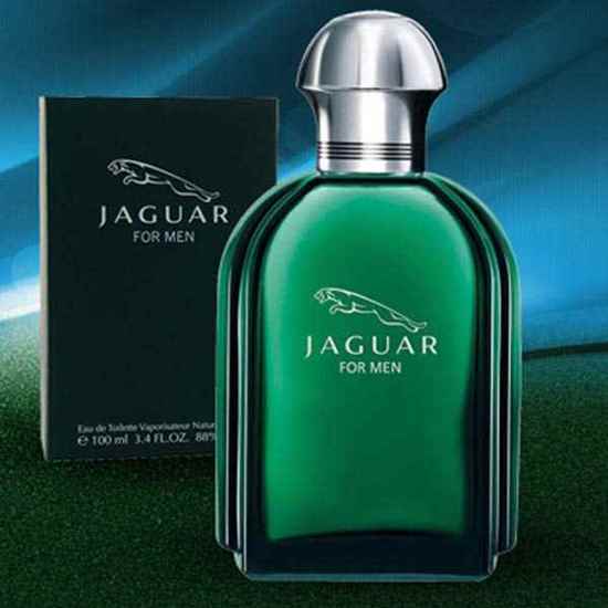 عطر ادکلن جگوار مردانه-سبز | ادکلن 100 میل مردانه|Jaguar for Men|