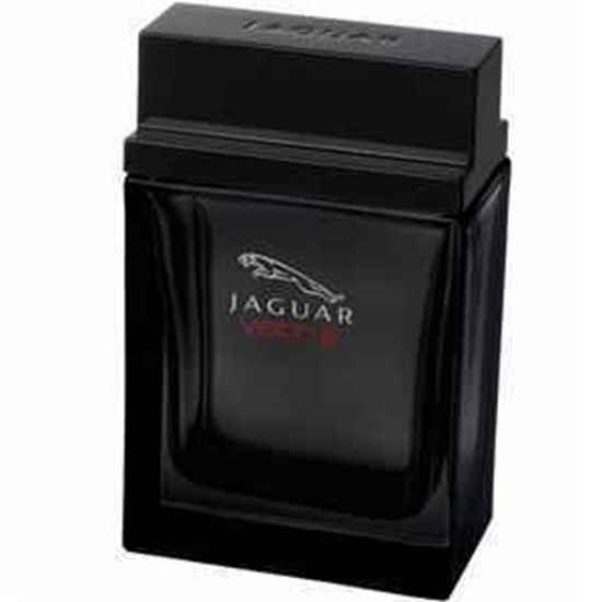 عطر ادکلن جگوار ویژن 3 |ادکلن 100 میل مردانه| Jaguar Vision III|