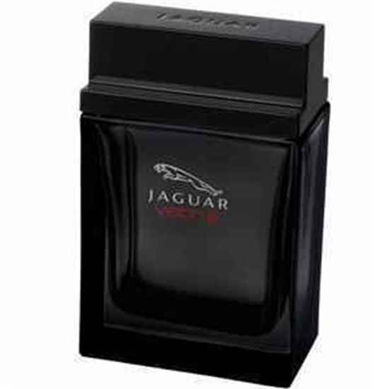 عطر ادکلن جگوار ویژن 3 |ادکلن 100 میل مردانه| Jaguar Vision III|