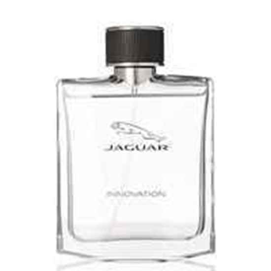 عطر ادکلن جگوار اینویشن | Jaguar Innovation|ادکلن 100 میل مردانه|