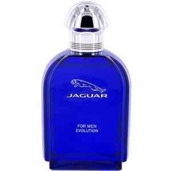 عطر ادکلن جگوار اولوشن | Jaguar Evolution|ادکلن مردانه 100 میل|
