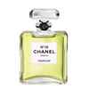 عطر ادکلن شنل نامبر 19 پرفیوم | Chanel No 19 Parfum|ادکلن زنانه 100 میل|
