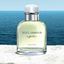 تصویر تستر دی اند جی دلیچه گابانا لایت بلو مردانه ادوتویلت /عطر و گل