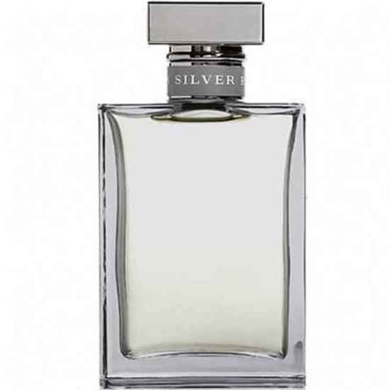عطر ادکلن رالف لورن رومنس سیلور | Ralph Lauren Romance Silver|ادکلن مردانه 100 میل|