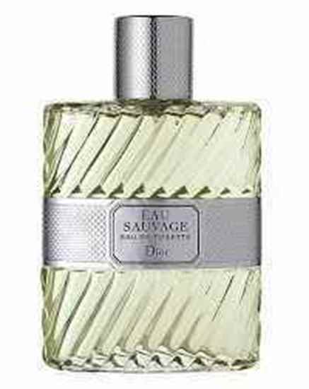 عطر ادکلن دیور او ساواج ادو تویلت | Dior Eau Sauvage|ادکلن 100 میل مردانه|