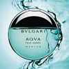 عطر ادکلن بولگاری آکوا پور هوم مارین | Bvlgari Aqva Pour Homme Marine| عطر و ادکلن 100 میل مردانه|
