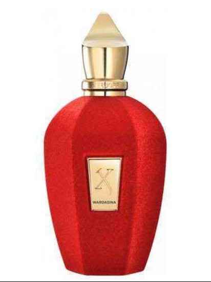 عطر ادکلن زرجف-زرژاف وارداسینا | Xerjoff Wardasina
