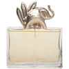 عطر کنزو جانگل زنانه ادوپرفیوم | kenzo Jungle for Women EDP